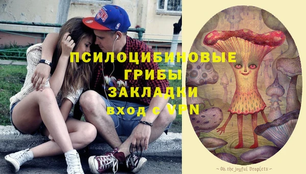 эйфоретик Алзамай