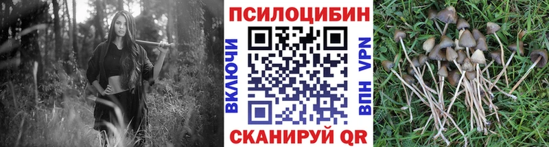 kraken tor  Троицк  Галлюциногенные грибы Magic Shrooms 