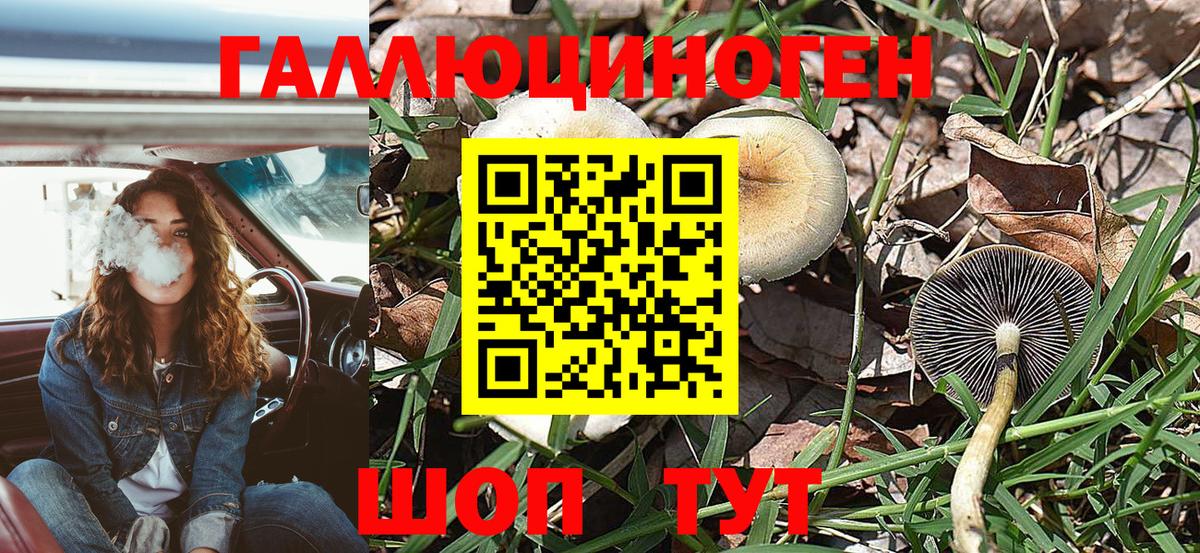 Галлюциногенные грибы мухоморы Троицк