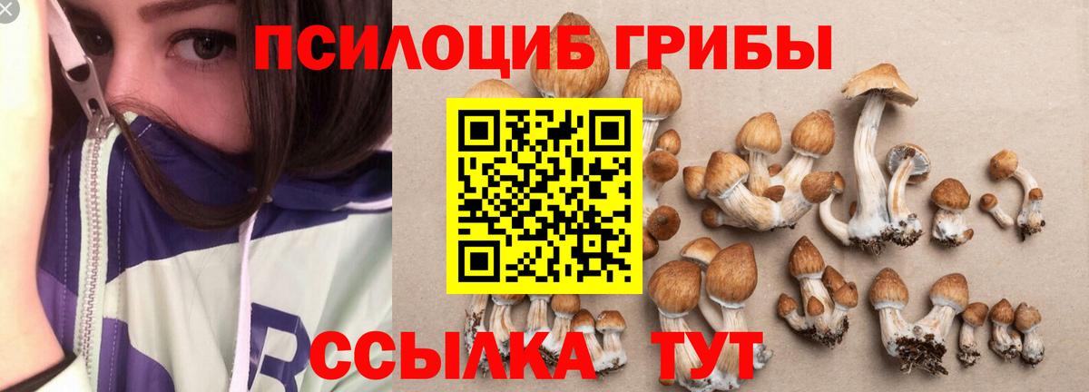 Троицк  Галлюциногенные грибы прущие грибы  Вход с VPN  Галлюциногенные грибы Magic Shrooms 